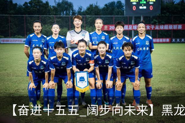 【奋进十五五 阔步向未来】黑龙江农机产业正加速迈向高端化智能化绿色化